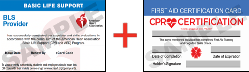 Sample American Heart Association AHA BLS CPR Card Certification and First Aid Certification Card from CPR Certification Greensboro