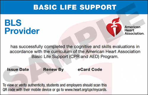 Sample American Heart Association AHA BLS CPR Card Certification from CPR Certification Greensboro